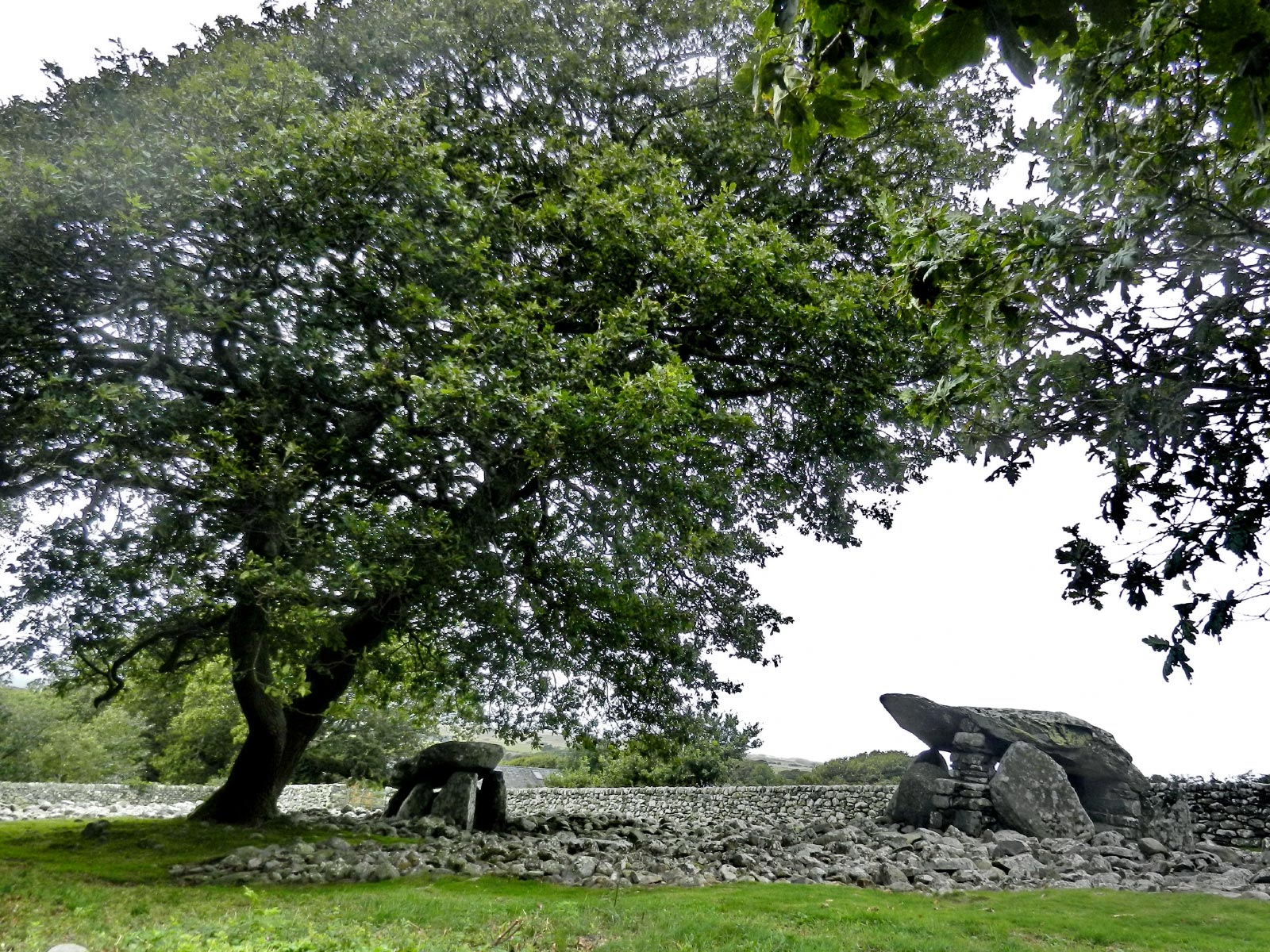 Dyffryn Burial Chamber